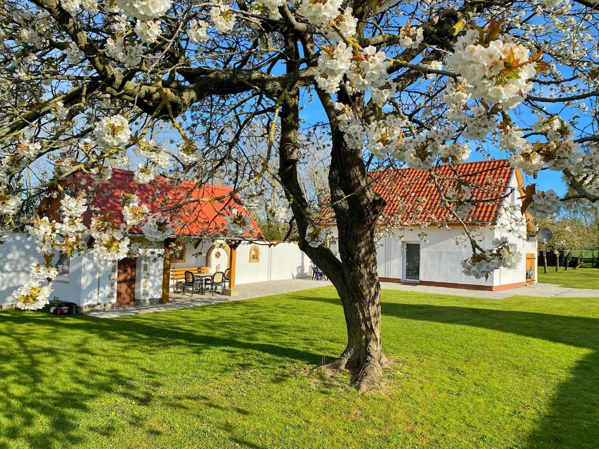 Ferienhaus Berta Sassnitz Extérieur photo